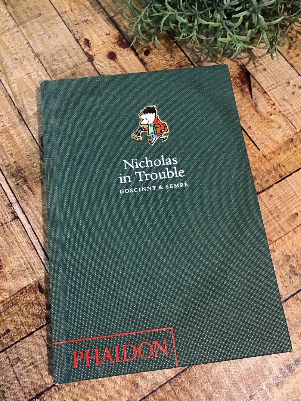 ♥️5/25$ Phaidon Hardcover Book Nicholas in Trouble